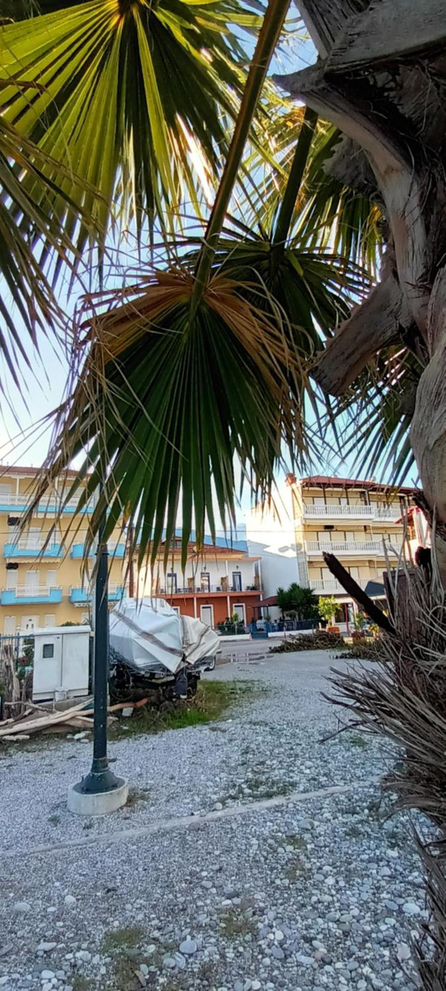 Mana Mia Seaside Apartments Leptokaryá Eksteriør bilde